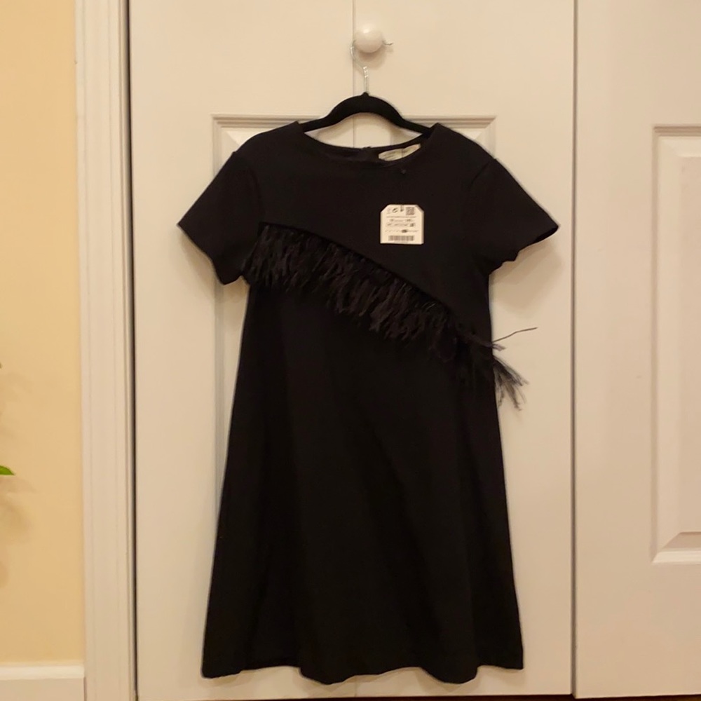 Zara Girls Collection Feather Dress